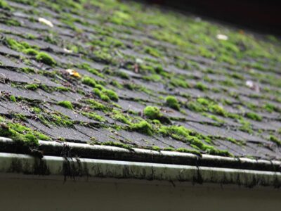 Roof sealant Highbridge