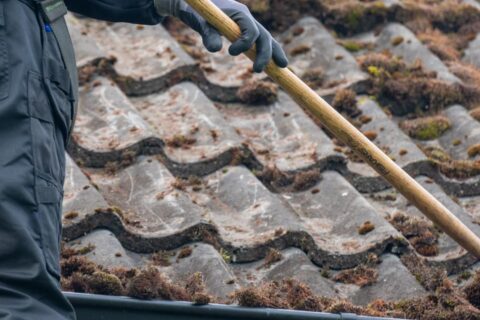 the Southwest Roof Moss Removal Experts