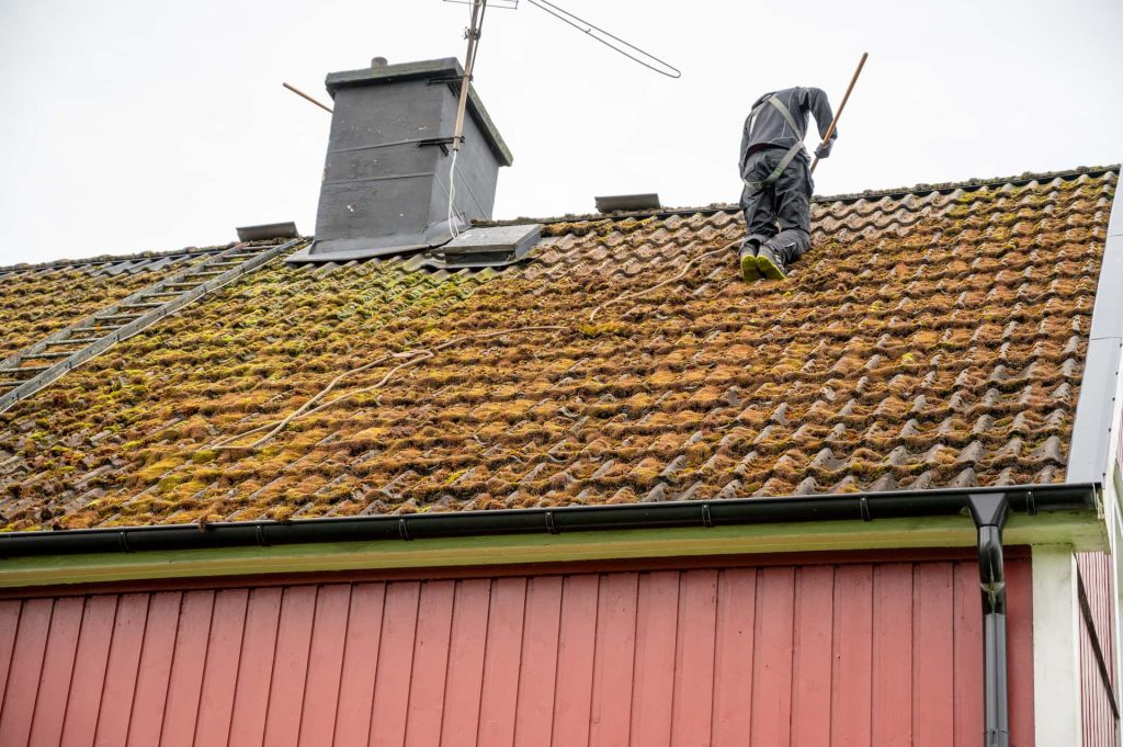 Roof moss removal Roof moss removal the Southwest