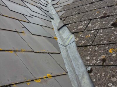 Highbridge roof moss removal